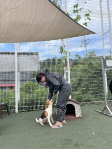 [은평외국인노동자센터] EMWC 봉사단 유기동물 보호소 활동 진행